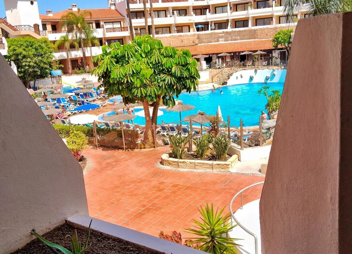 Maximar Apartment 8 Bed Places, Heated Swimmingpool Arona   Arona (Tenerife)